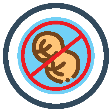 No nuts icon